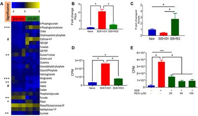 Resveratrol attenuates staphylococcal enterotoxin B-activated immune cell metabolism via upregulation of miR-100 and suppression of mTOR signaling pathway